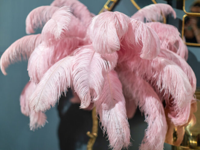 roze accessoires